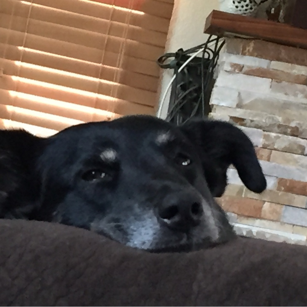 Meet your Posher, Denise